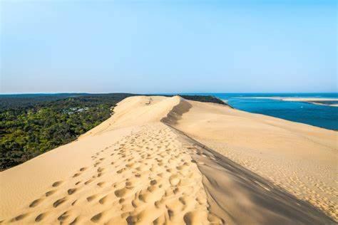 Aiguillon, 4 Pers, Plage A 5Min A Pied, Parking Arcachon Eksteriør bilde